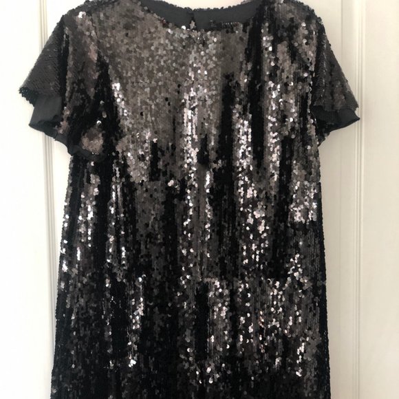 Zara Dresses & Skirts - Zara Short Sequin Dress